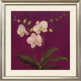 Buy Moon Shadows III at AllPosters.com