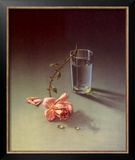 Weeping Rose