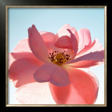 Schwingung Framed Art Print