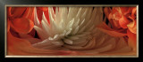 Buy Dahlias IV at AllPosters.com