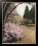 Azalea Way Framed Art Print
