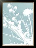 Buy Flower Shadow II at AllPosters.com