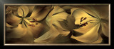 Buy Lilies No. 35 at AllPosters.com