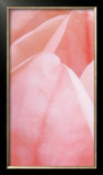 Buy Pink Tulip I at AllPosters.com