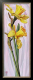 Buy Two Yellow Daffodils at AllPosters.com