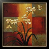 White Orchid