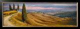 Buy Four Cypress at AllPosters.com