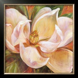 Buy Magnolia Glow I at AllPosters.com