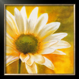 Buy Marguerites dans le Soleil III at AllPosters.com