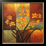 Orange Orchid
