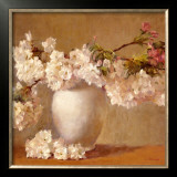 Cherry Blossom