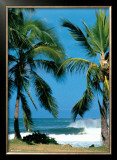 Buy Spot d'Haleiwa at AllPosters.com
