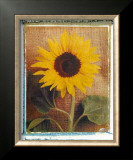Buy Sunflowers at AllPosters.com