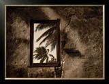 Buy Palm View II at AllPosters.com