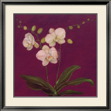 Buy Moon Shadows III at AllPosters.com