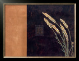 Golden Beauty I