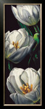 Buy Dewdrop Tulips at AllPosters.com