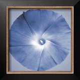 Buy Oceana Flora I at AllPosters.com