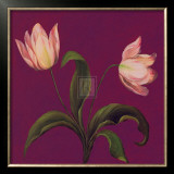Buy Moon Shadows II at AllPosters.com