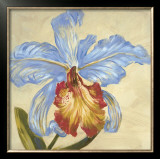Buy Hot Blooms III at AllPosters.com