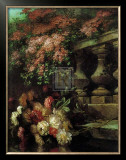 Buy Peonies at AllPosters.com