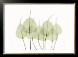 Buy Woodlands I at AllPosters.com