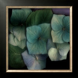 Rhapsody II