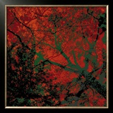 Buy Vegetaux 12, 2008 at AllPosters.com