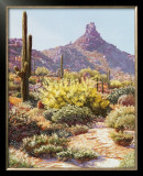 Buy Pinnacle Peak from the North at AllPosters.com