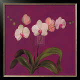 Buy Moon Shadows IV at AllPosters.com