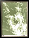Buy Flower Shadow III at AllPosters.com