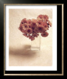 Buy Cut Flowers IV at AllPosters.com