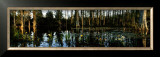 Buy Cypress Gardens at AllPosters.com