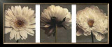 Buy Daisy and Dahlia at AllPosters.com