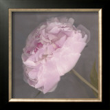 Buy Fleur at AllPosters.com