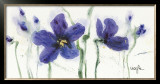 Pansies VIII