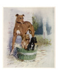 Greyhounds by Gilbert Holiday