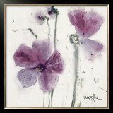 Pansies VI