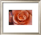 Buy Untitled at AllPosters.com