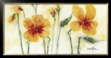 Pansies VII