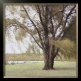 Buy Lakeside Trees II at AllPosters.com
