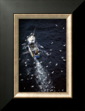 Buy Fish in Sea at AllPosters.com