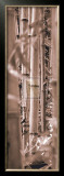 Buy Bamboo Grove III at AllPosters.com