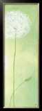 Buy Delicateness of the Dandelion III at AllPosters.com