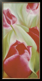 Buy Tulips II at AllPosters.com