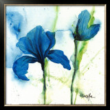 Lily I