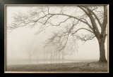 Buy Layers of Trees I at AllPosters.com