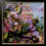 Buy Vegetaux 11, 2008 at AllPosters.com