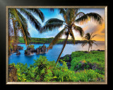 Buy Where Da Coconuts Grow at AllPosters.com