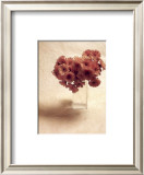 Buy Cut Flowers IV at AllPosters.com
